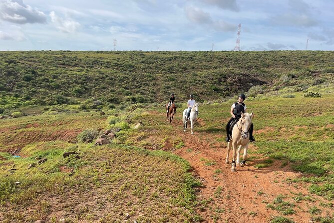 Relaxing Horse Riding Tour in Gran Canaria - The ride itself: fields, sea-and-mountain views, and a cultural stop