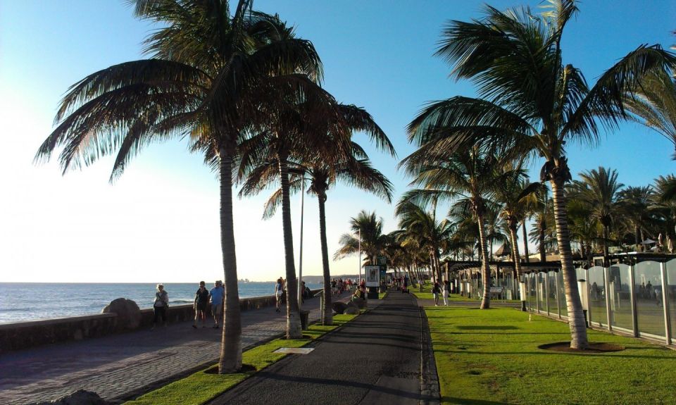 Rent a City Bike 18 gears from 9 hours to 7 days: Maspalomas - Botanical Garden and Charca Oasis: plants and birds on a tight route