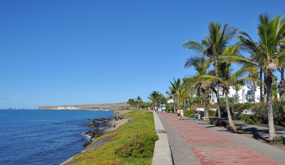 Rent a City Bike 18 gears from 9 hours to 7 days: Maspalomas - Optional history stop: Punta de las Mujeres and endemic lizards