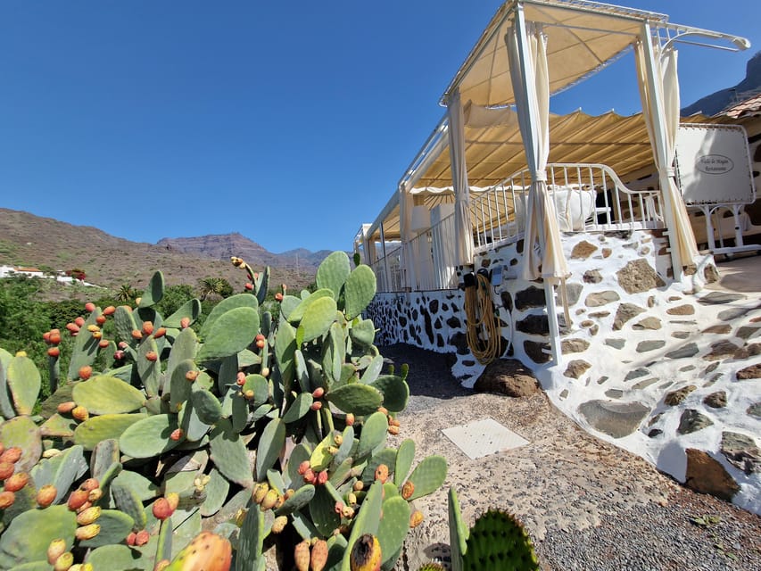 Spanish Cured Meats & Wine Tasting Tour in Mogan - Key things I’d mark on your radar