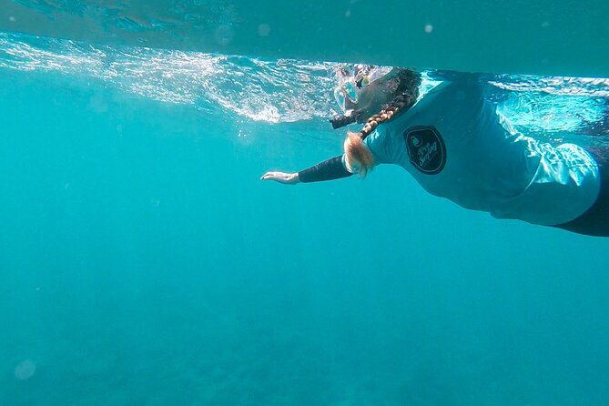Stand Up Paddle and Snorkeling Tour of Gran Canaria with Transfers south area - Equipment, Water, and Insurance: What Is Built Into Your Price