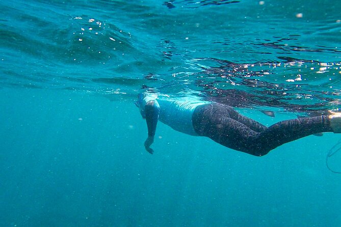 Stand Up Paddle and Snorkeling Tour of Gran Canaria with Transfers south area - The Beach Lesson: Where Dani/Danny’s Patience Pays Off