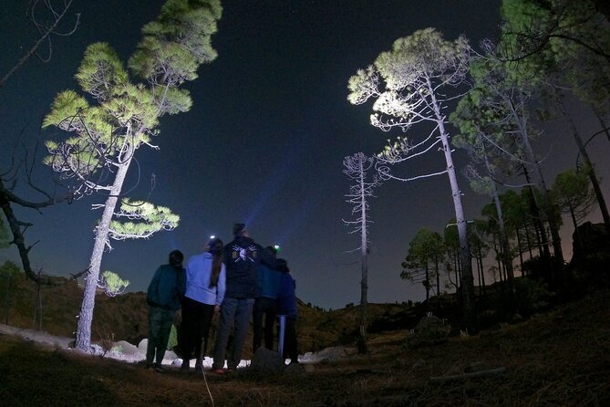 Sunset Hike and Stargazing Experience in Roque Nublo Mountains - Stargazing Without Telescopes: Learn the Sky Like a Local