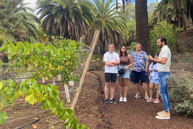 Taste Gran Canaria's unique wines - Practical tips to make the day feel effortless