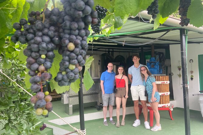 Taste Gran Canaria's unique wines - Who should book this wine tour?