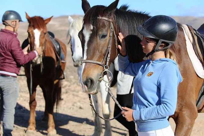 The Best Horse Riding Experience in Gran Canaria (2 hours) - The Pre-Ride Briefing: Helmets, Vests, and How You Control the Horse