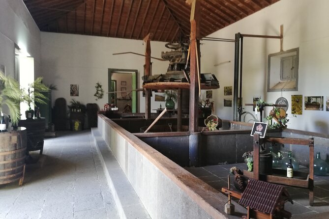 The best of Gran Canaria: 4 Hours Private Cruise Tour - Stop 2: Bodega San Juan – Museo del Vino (Wine, Cheese, and Local Soil)