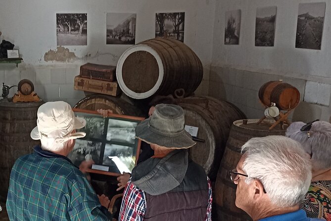 The best of Gran Canaria: 4 Hours Private Cruise Tour - Included Extras That Reduce Friction