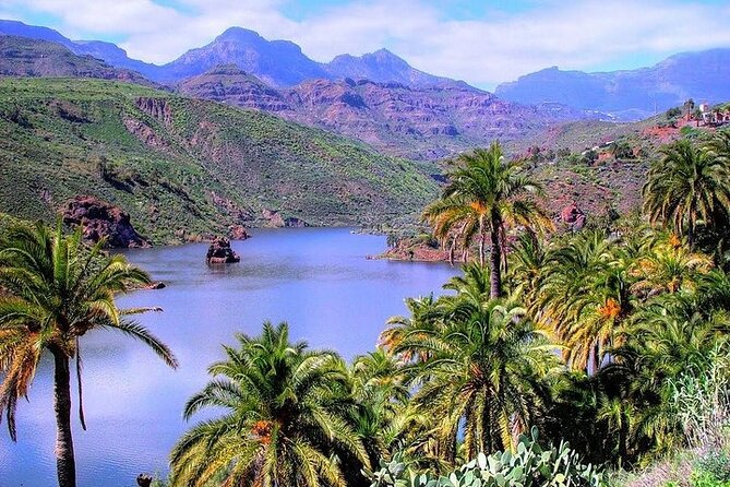 Tour to Guayadeque, Firgas, Fataga - VIP - Aloe Vera Plantation Stop: A Practical Break You Can Taste