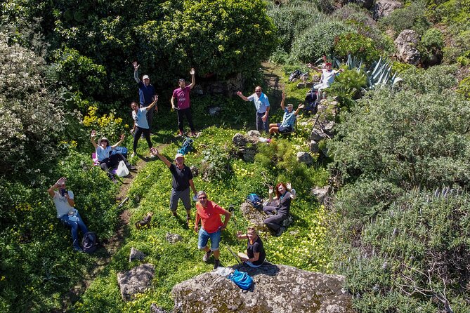 Wanderungen im grünen Gran Canaria - Key points to know before you go