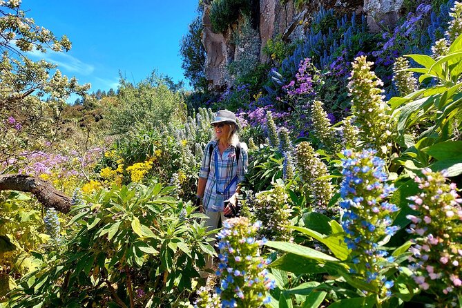 Wanderungen im grünen Gran Canaria - Picking the right flower-season hike (Jan–May)