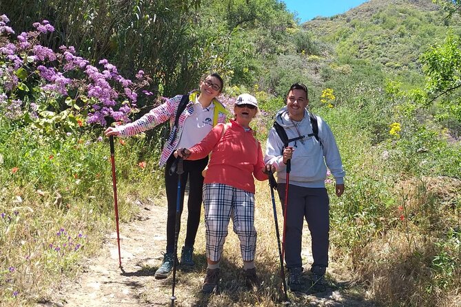 Wanderungen im grünen Gran Canaria - A day that starts with pickup and ends with impressions