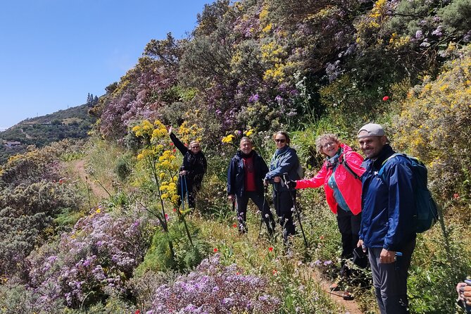 Wanderungen im grünen Gran Canaria - Price and value: is $75.24 worth a flower hike day?