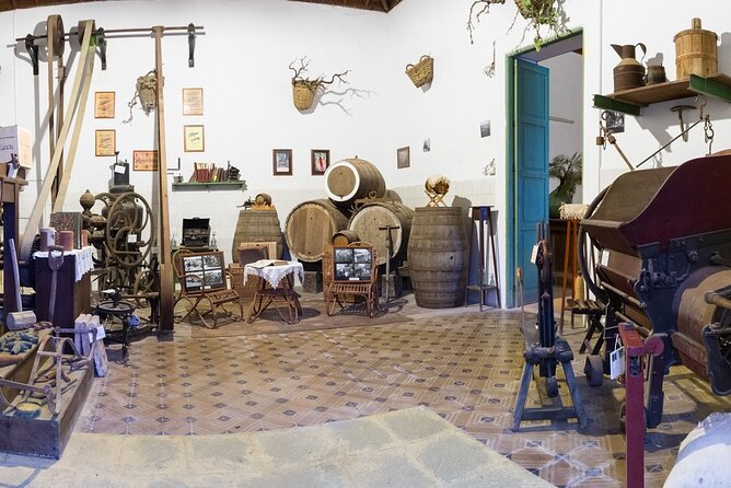 Winery Tour, Wine Museum, and Tasting in Gran Canaria - What happens on the 90-minute winery tour